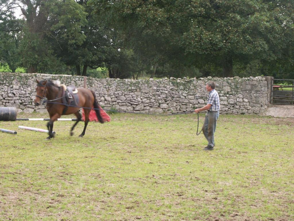 Cahergal Farmhouse B&B Newmarket-on-Fergus Esterno foto
